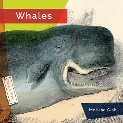 Whales by Melissa Gish