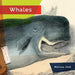 Whales by Melissa Gish