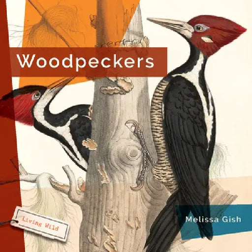 Woodpeckers by Melissa Gish