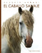 El Caballo Salvaje by Kate Riggs