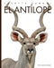 El Antílope by Kate Riggs