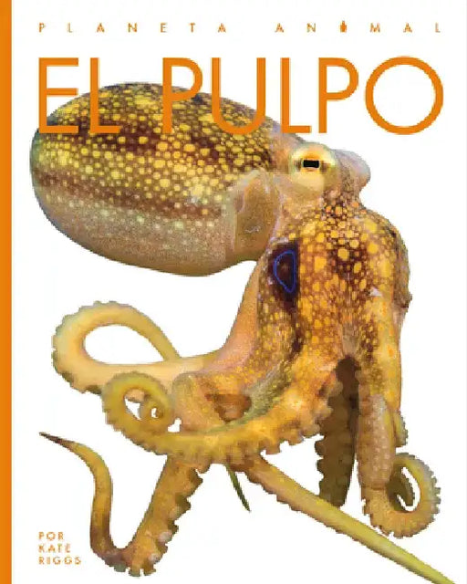El Pulpo by Kate Riggs