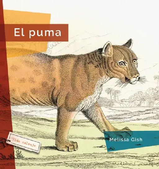 El Puma by Melissa Gish