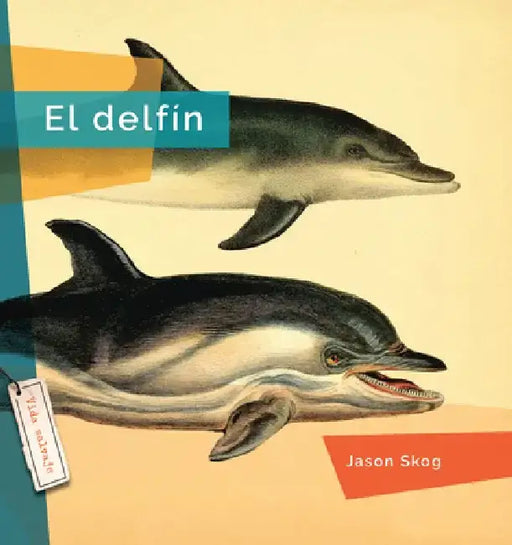 El Delfin by Jason Skog