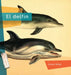 El Delfin by Jason Skog