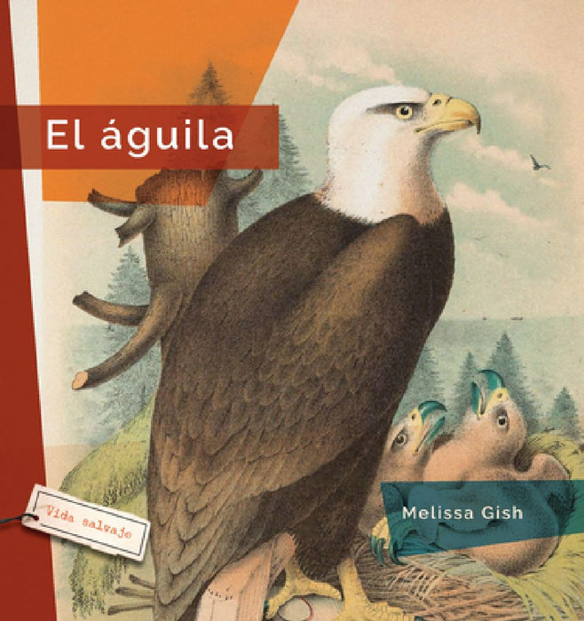 El Águila by Melissa Gish