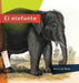 El Elefante by Melissa Gish