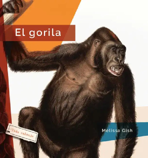 El Gorila by Melissa Gish