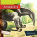 Anteaters by Melissa Gish
