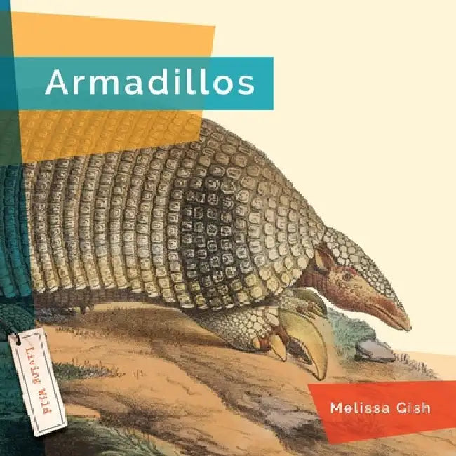 Armadillos by Melissa Gish