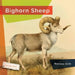 Bighorn Sheep by Melissa Gish