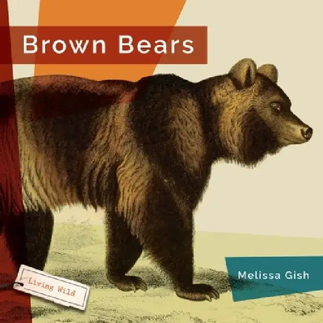Brown Bears by Melissa Gish