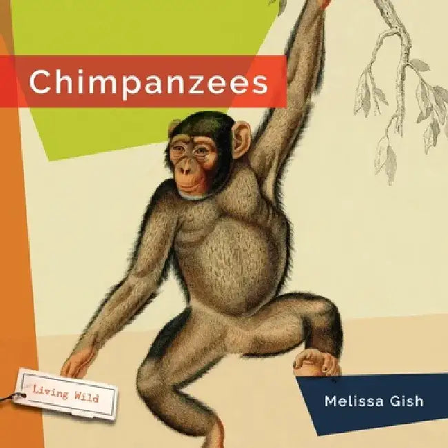 Chimpanzees by Melissa Gish