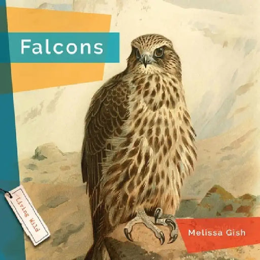 Falcons by Melissa Gish