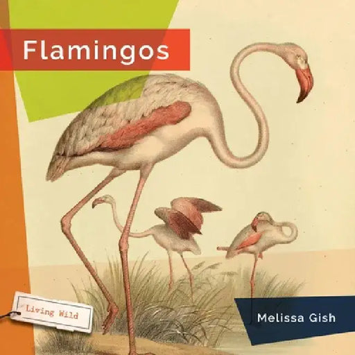 Flamingos by Melissa Gish