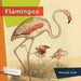 Flamingos by Melissa Gish