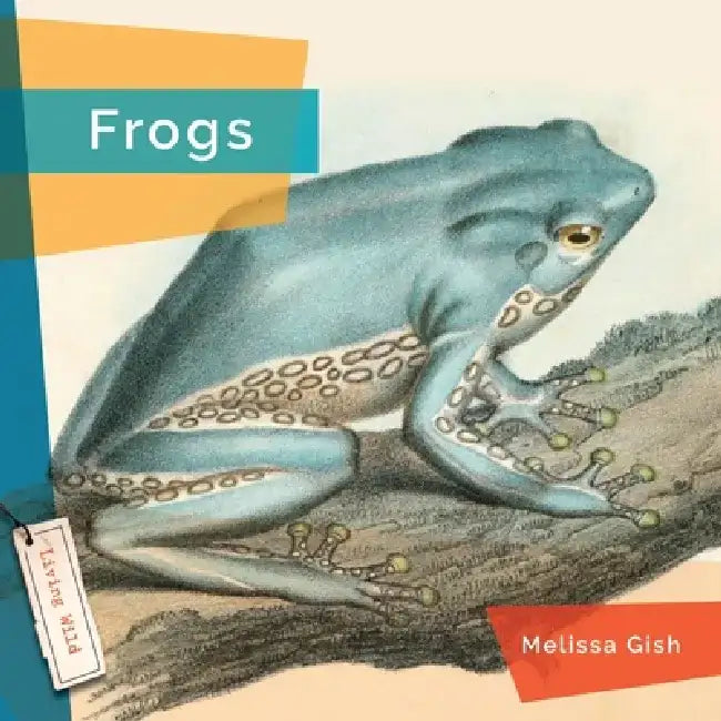Frogs by Melissa Gish