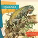 Iguanas by Melissa Gish
