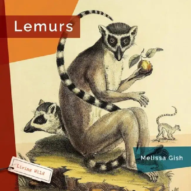Lemurs by Melissa Gish