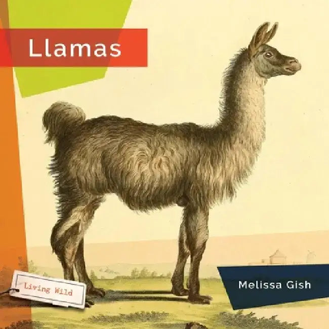 Llamas by Melissa Gish