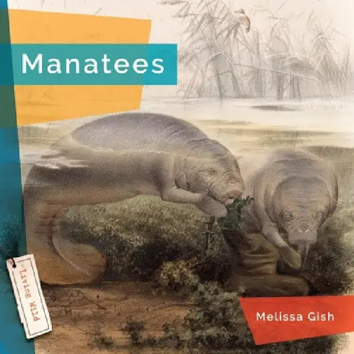 Manatees by Melissa Gish
