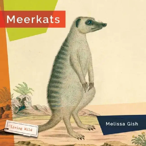 Meerkats by Melissa Gish