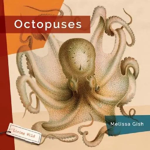 Octopuses by Melissa Gish