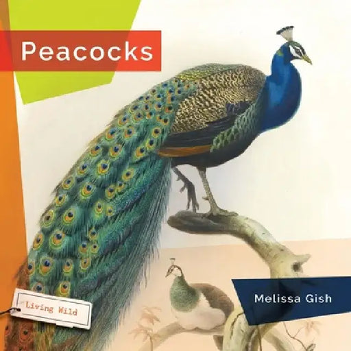 Peacocks by Melissa Gish