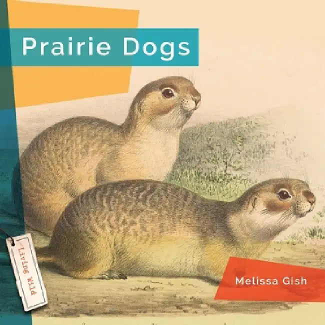 Prairie Dogs by Melissa Gish