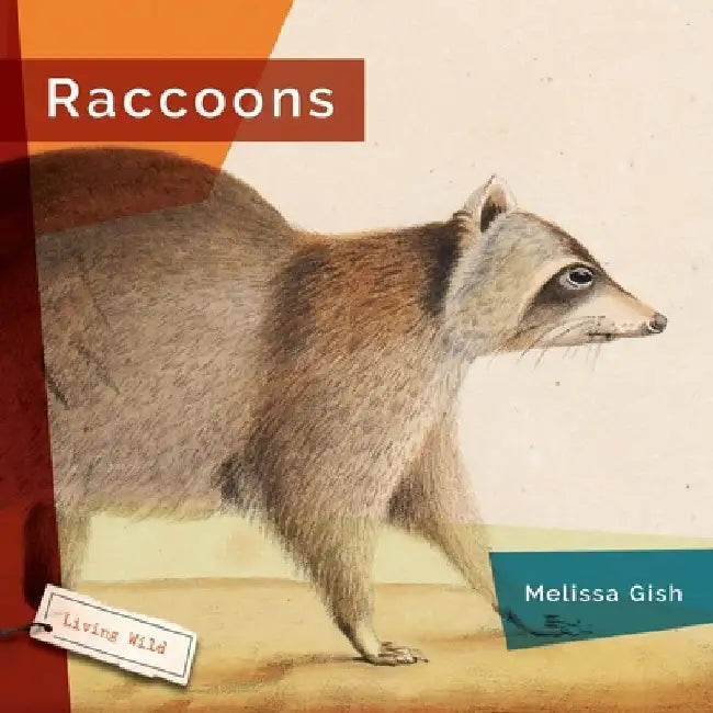 Raccoons by Melissa Gish