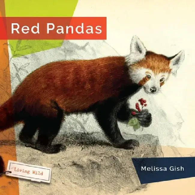 Red Pandas by Melissa Gish