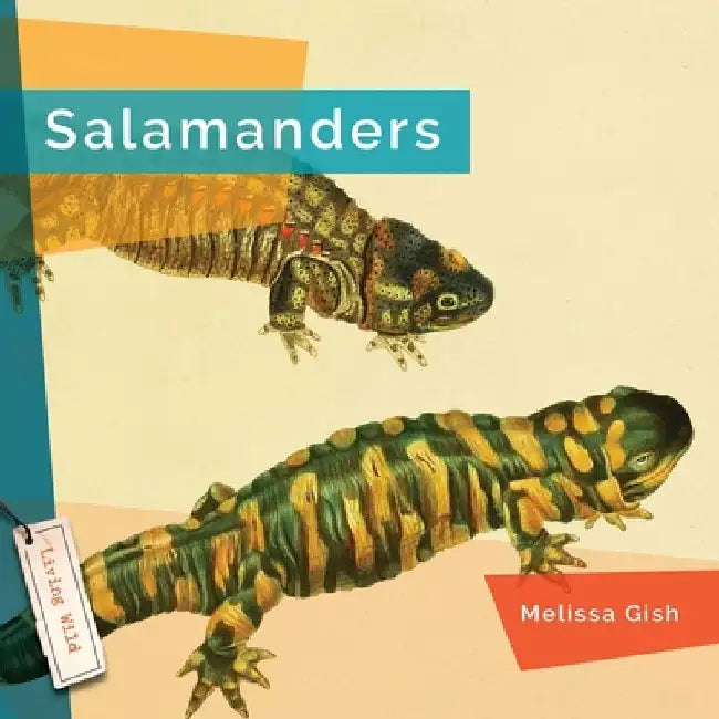 Salamanders by Melissa Gish