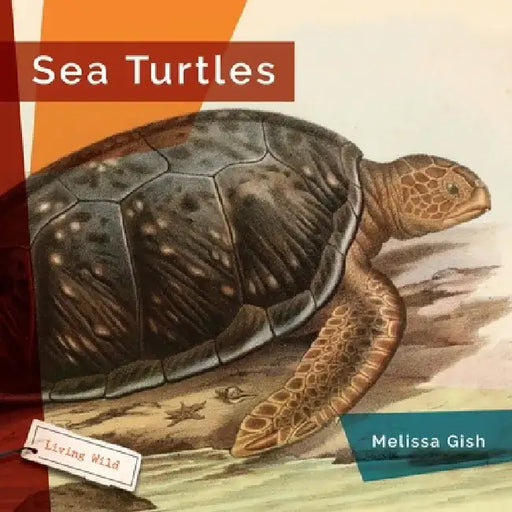 Sea Turtles by Melissa Gish