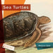 Sea Turtles by Melissa Gish
