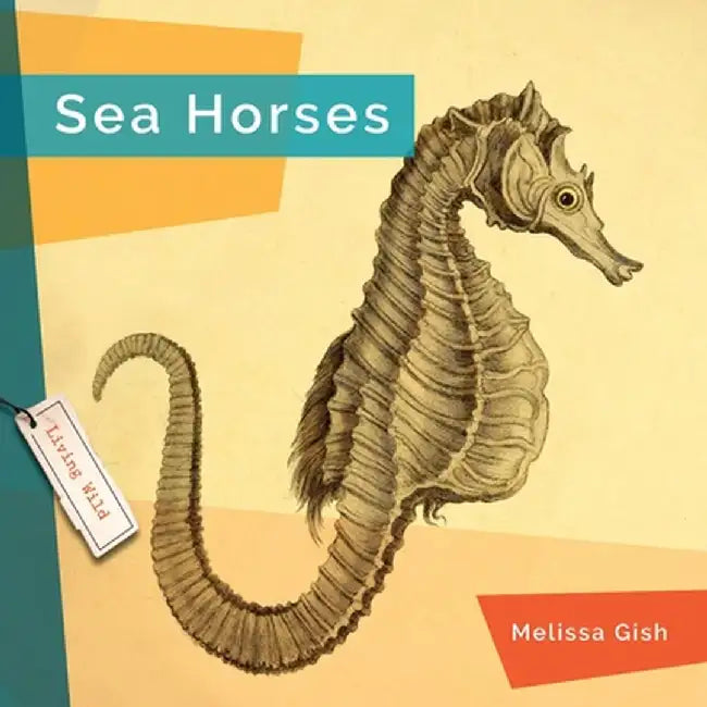 Seahorses by Melissa Gish