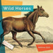 Wild Horses by Melissa Gish