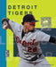 Detroit Tigers by Joe Tischler