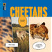 Cheetahs by Kate Riggs