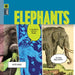 Elephants by Kate Riggs