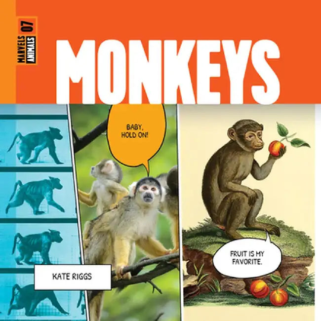 Monkeys by Kate Riggs