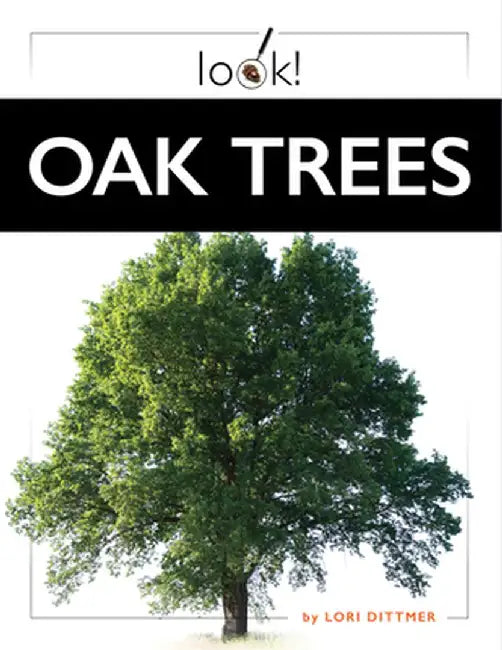 Oak Trees by Lori Dittmer