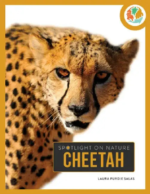 Cheetah by Laura Salas