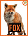 Fox by Julie And David Lavender