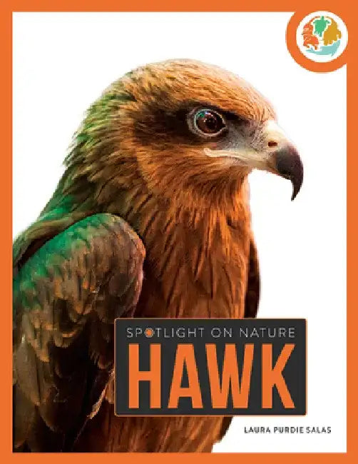 Hawk by Laura Salas