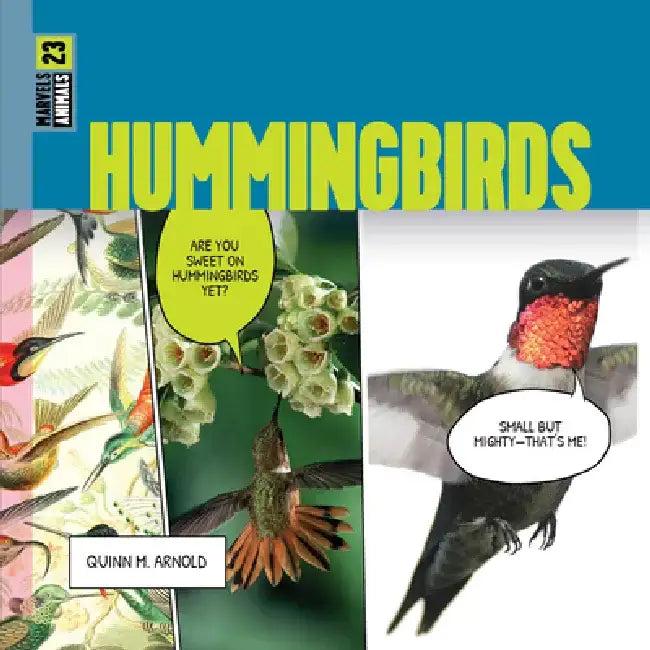 Hummingbirds by Quinn M. Arnold