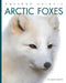 Arctic Foxes by Mari Bolte