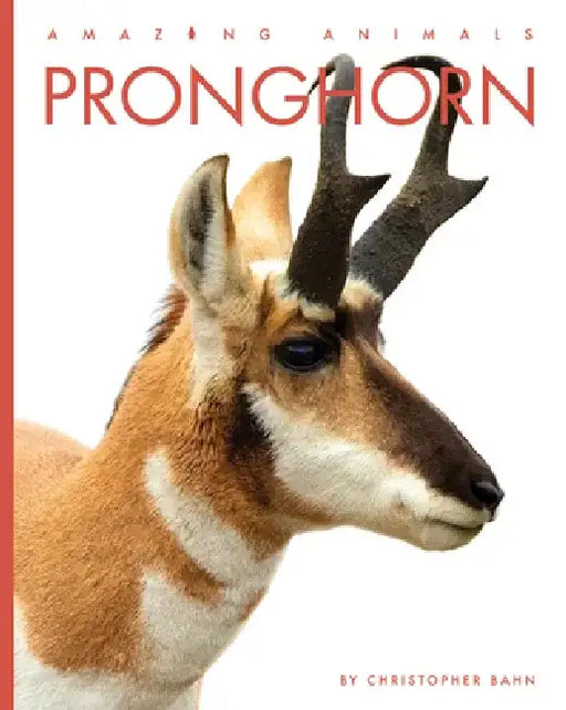Pronghorn by Christopher Bahn