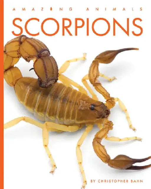 Scorpions by Christopher Bahn