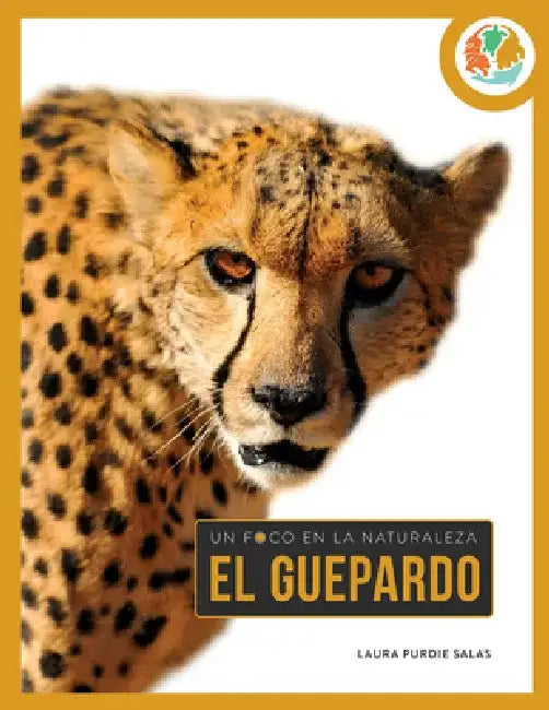 Guepardo by Laura Salas