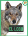 Lobo by Laura Salas